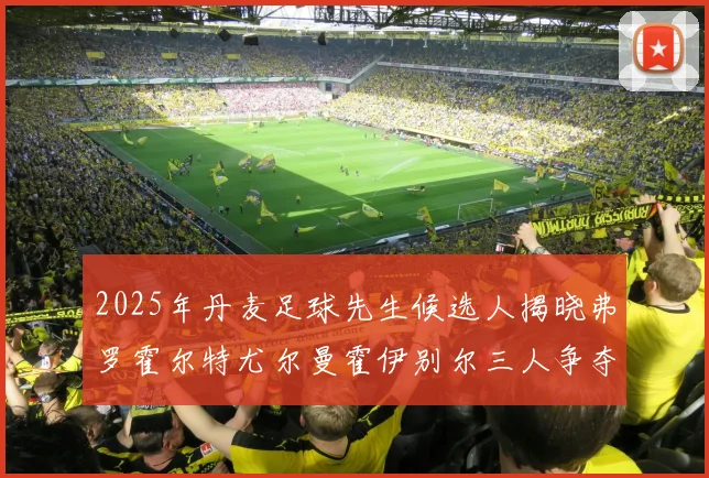 2025年丹麦足球先生候选人揭晓弗罗霍尔特尤尔曼霍伊别尔三人争夺荣耀