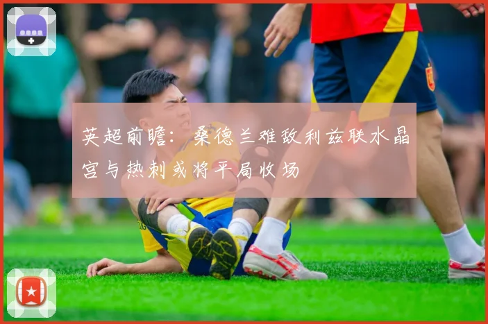 英超前瞻：桑德兰难敌利兹联水晶宫与热刺或将平局收场