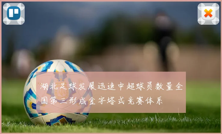 湖北足球发展迅速中超球员数量全国第三形成金字塔式竞赛体系