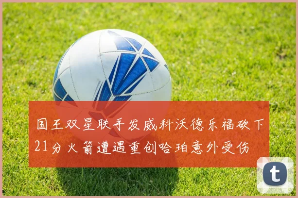 国王双星联手发威科沃德乐福砍下21分火箭遭遇重创哈珀意外受伤